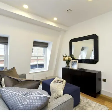 Renovu Premium Homes In Kensington