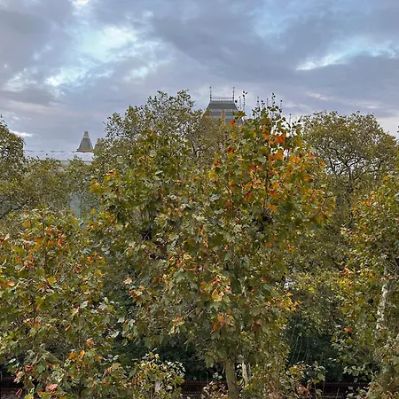 Apartment Renovu Premium Homes In Kensington London