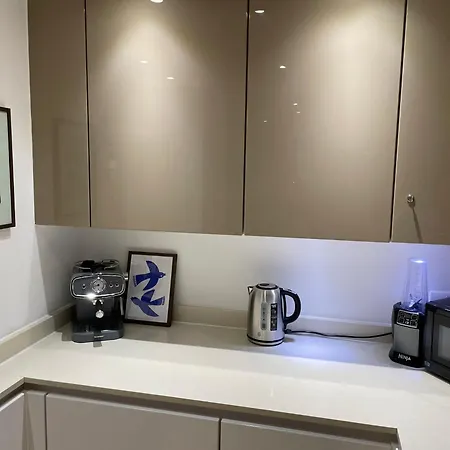 Luxury In Olympic Village London