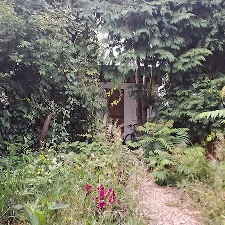 Picturesque - Own Entry - Professional * Hendon
