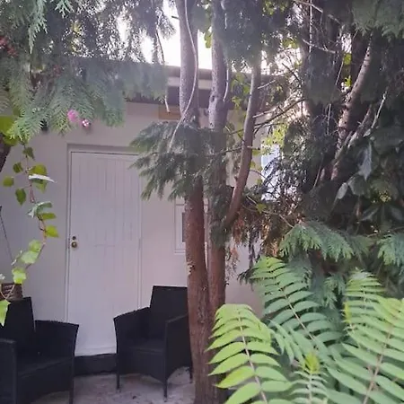 Picturesque - Own Entry - Professional Apartment *