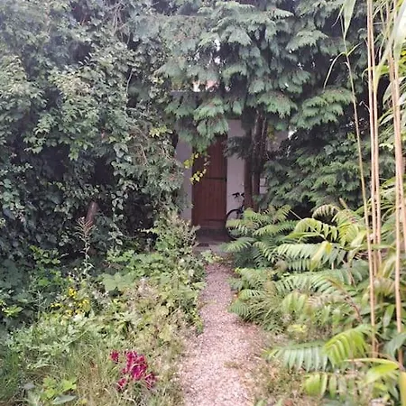 Picturesque - Own Entry - Professional Apartment *