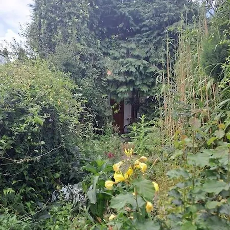 Picturesque - Own Entry - Professional Apartment Hendon