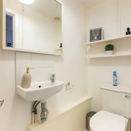 Lovely Garden Flat In Apartment London