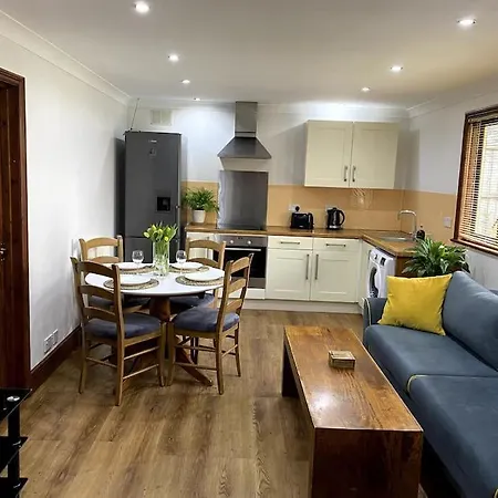 Garden Flat In 公寓 伦敦