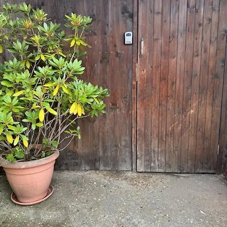 Garden Flat In Apartamento *