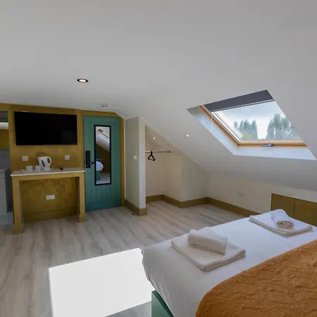 Guest house Paragraph Tottenham