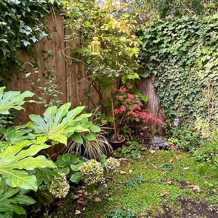 Apartamento Cozy 1-br Garden Flat For Up To 4 In East *