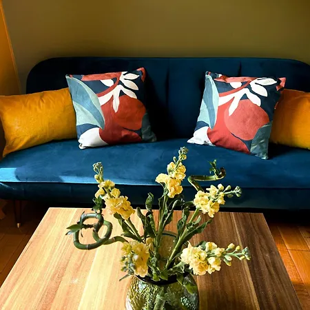 A Lovely 1 Bedroom Flat / Modern-cosy London