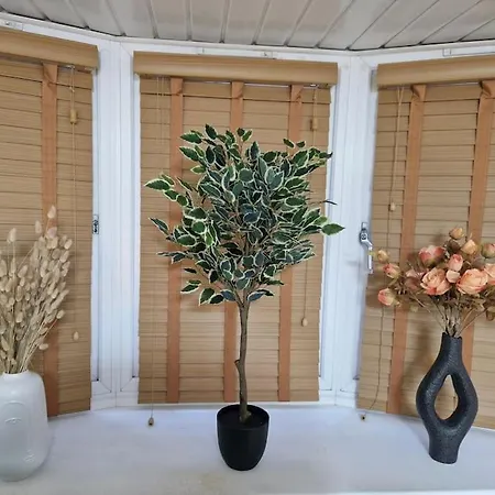 Apartment Cozy Flat & Lovely Garden, High Speed Wifi Cranford