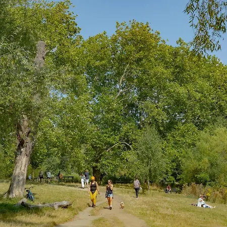 3 Bedroom Magical Hampstead Heath