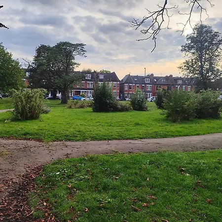 Haringey Nest * London