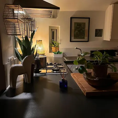 Camden Town Cosy Apartment
