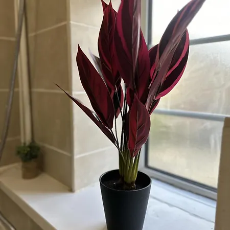Apartment Chic 3 Bedroom Flat Ontower Bridge London