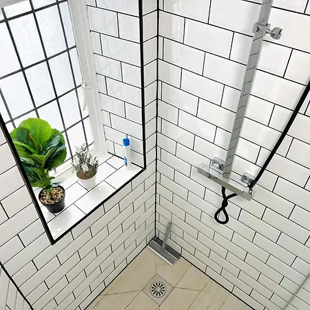 Mansion In Apartment