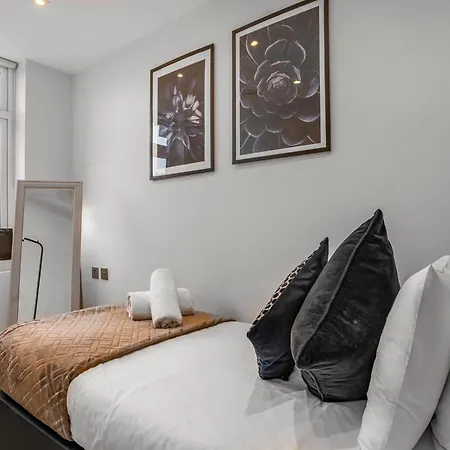 Apartment Stylish Near Wembley Stadium London