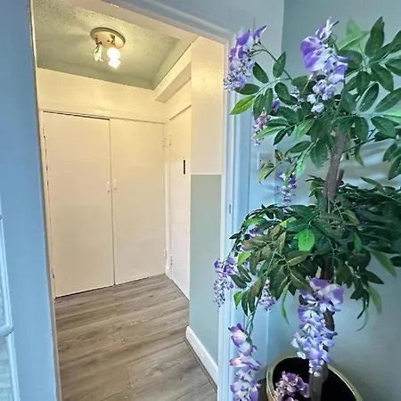 Apartment Beautiful Studio Central *