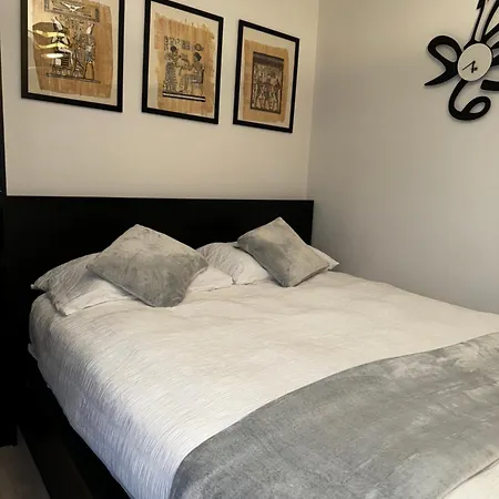 Entire Flat Custom House * London
