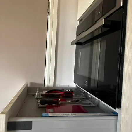 Entire Flat Custom House * London