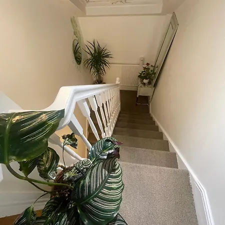 Homestay Cozy Close To Camden Market London