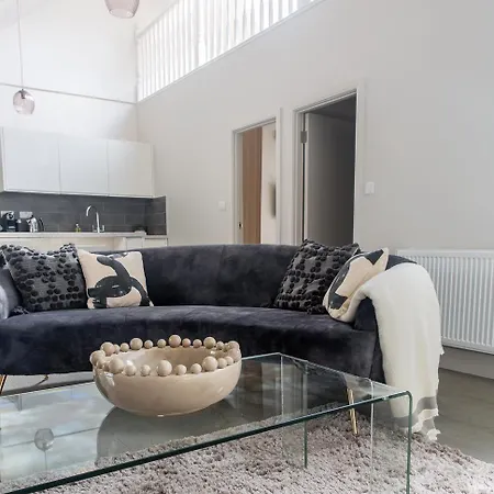 Mayfair Loft Apartment! Apartment London