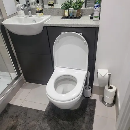 Kayz Lodge- Luxury Ensuite-private & Shared In A New House At The Olympic Village Overlooking Stratford Westfield And Tube Station Chata