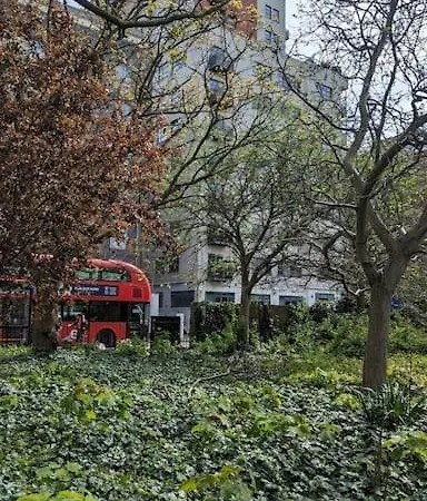 3 Bed Flat With A View London