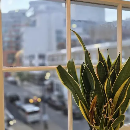 Luxury Flat Paddington