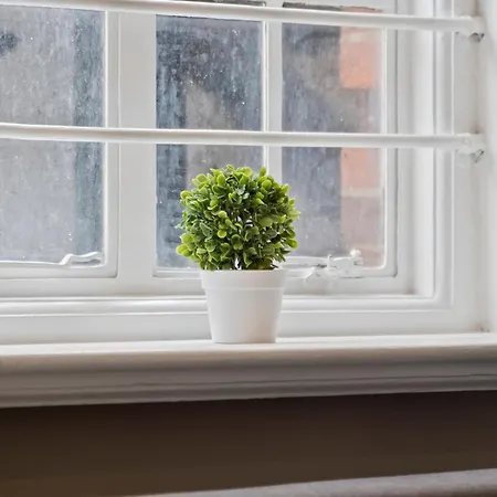 Apartment Cozy Step Away Hyde Park And Oxford Street London