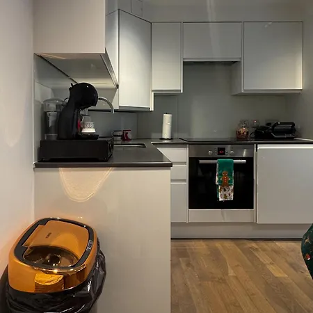 Apartment Mayfair 2 Beds Flat Near Bond Street, Opposite Selfridges On Oxford Street London