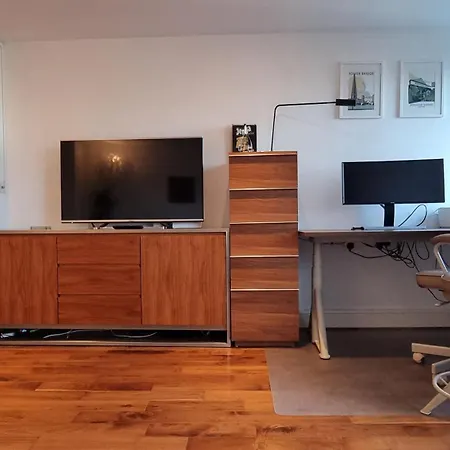 Bridge Spacious Apartment London