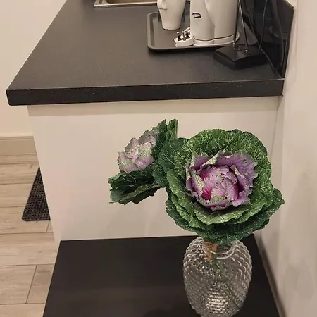 Smart 4 Sutton (Greater London)