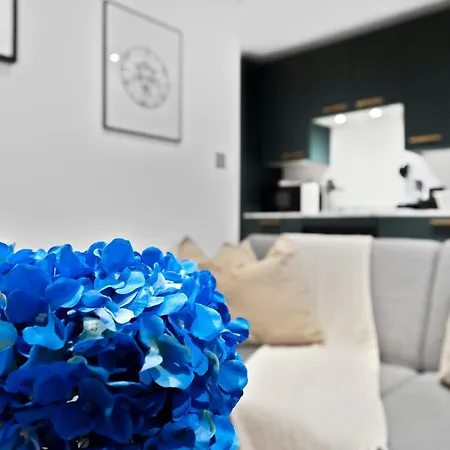 Modern With Free Wifi Apartment