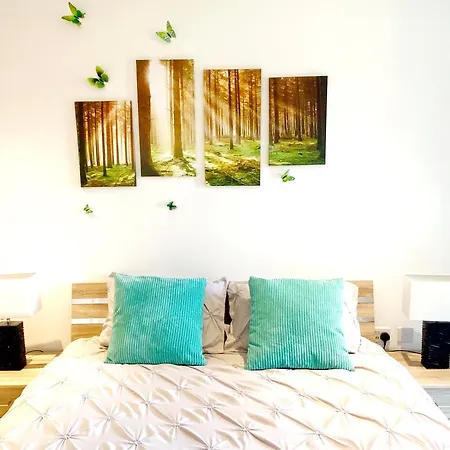 Homestay A Brand New Flat With 3 Bedrooms & 3 Baths In Zone 1 Angel For Max 9 Ppl