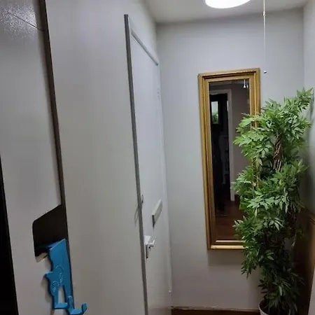 Apartment 1 Bedroom Flat In Zone 1 *