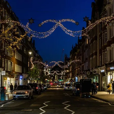 High-ceiling Gorgerous Victorian Flat With Private Garden - 3 Mins To Hyde Park, Kensington Palace, 8 Mins Nottinghill, High Street Kensington Station Londra