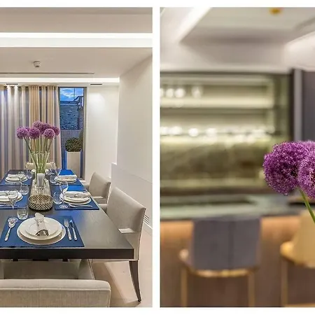 Apartment Marylebone Penthouse