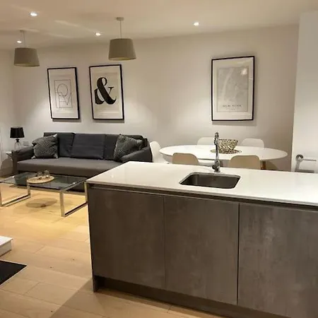 Stylish Penthouse London-zone 1 Apartment