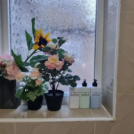 Garden View Double Room, 20 Mins To London, 1gb Internet Homestay London