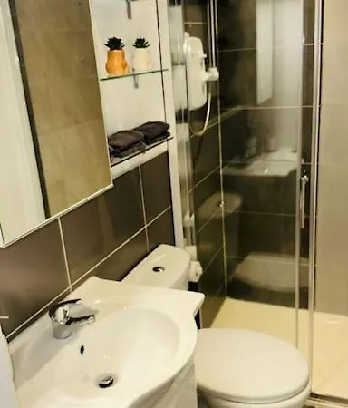 Comfortable In Wembley Apartment London