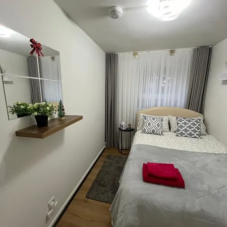 Spacious For Rent 10 Min From Tower Bridge Guest house London