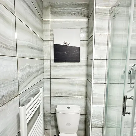 Olive Immaculate Wembley Apartment, 15mins To London, By Edens