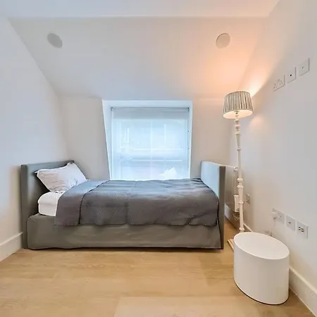Apartment Luxury 2bed Hyde Park Penthouse With Rooftop