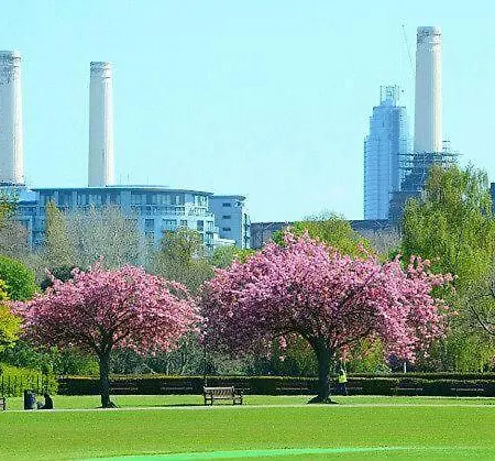 Apartment Of Battersea *