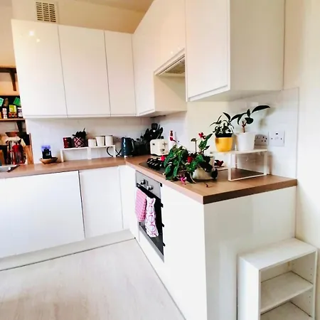 Charming Victorian Flat With Free Parking Apartment