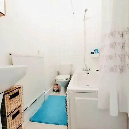 Charming Victorian Flat With Free Parking * London