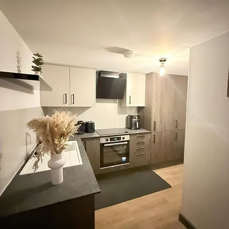 Cozy Guest Two Bedroom Flat London