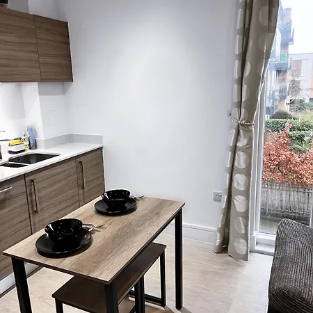 Luxury Modern 2 Bed 2 Bath Apartment