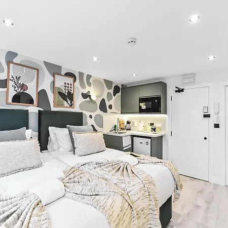Chic & Trendy Designer With Full Kitchen London