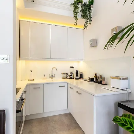 Classic Victorian Flat With Terrace Apartment